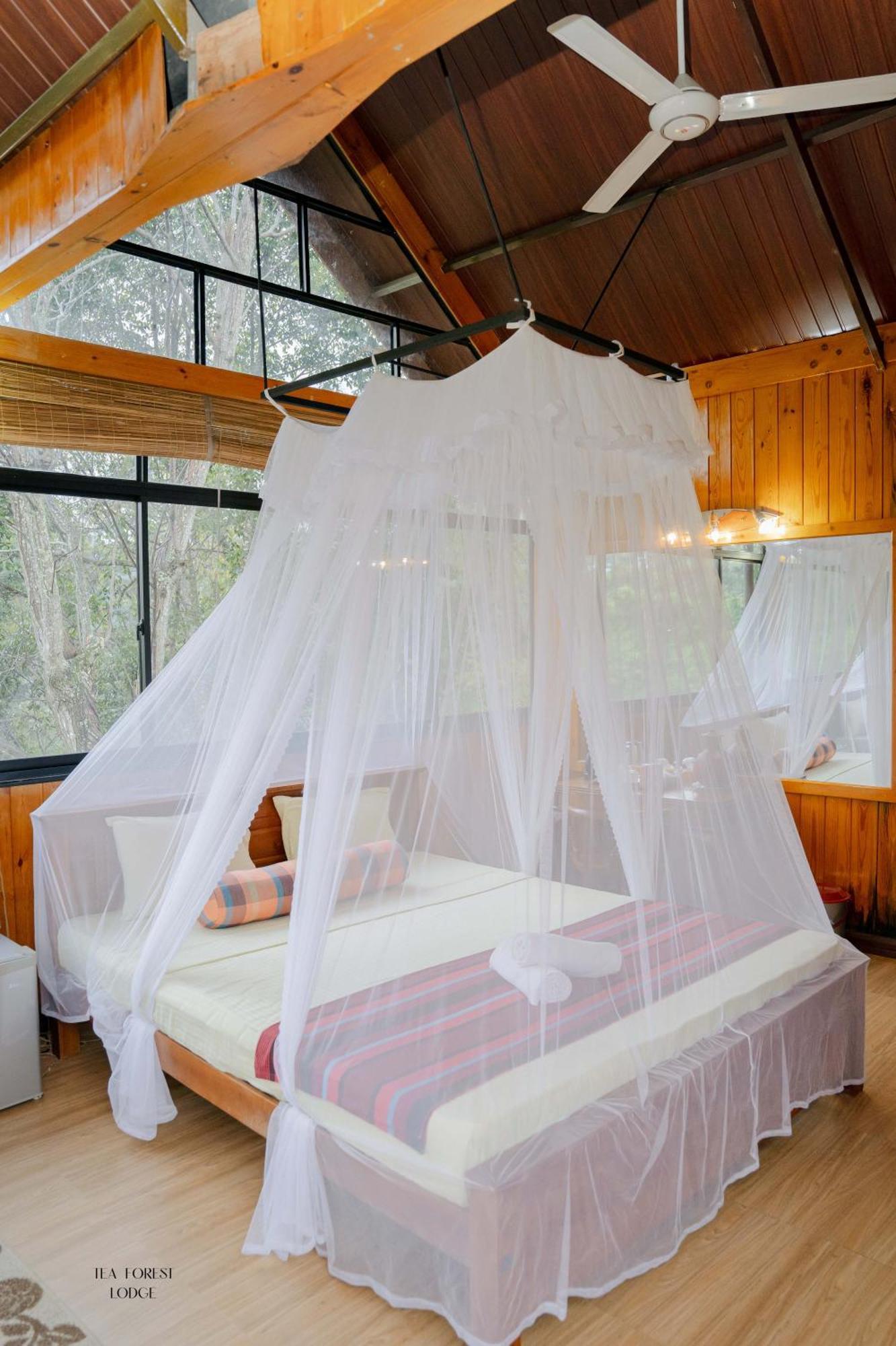 Tea Forest Lodge Ella Extérieur photo