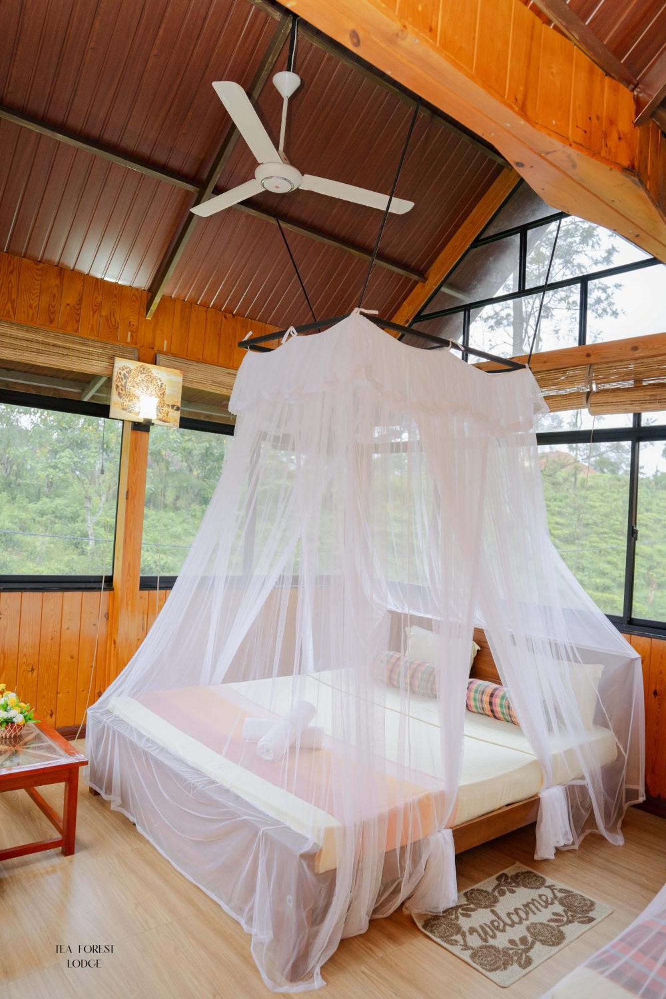 Tea Forest Lodge Ella Extérieur photo