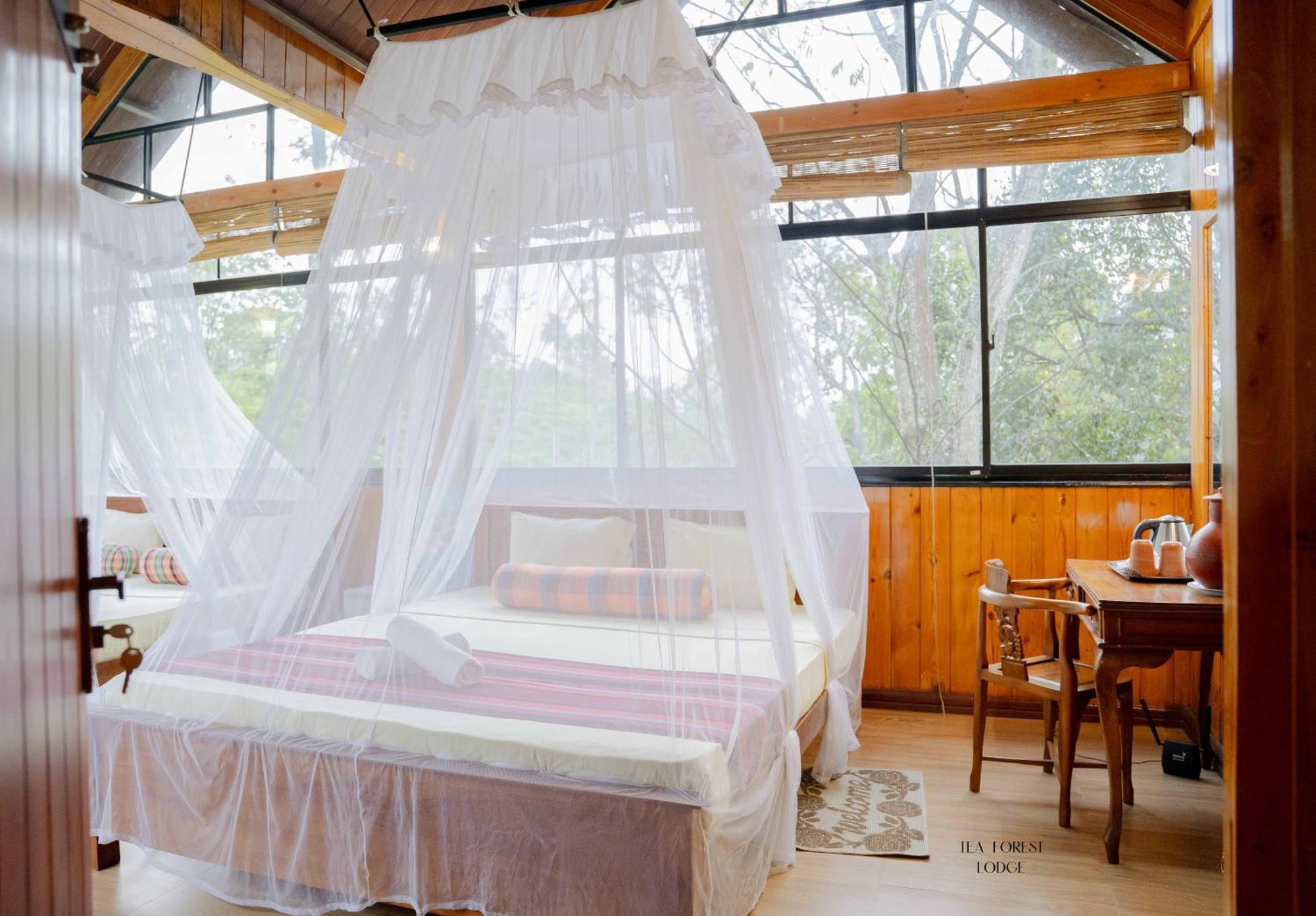 Tea Forest Lodge Ella Extérieur photo