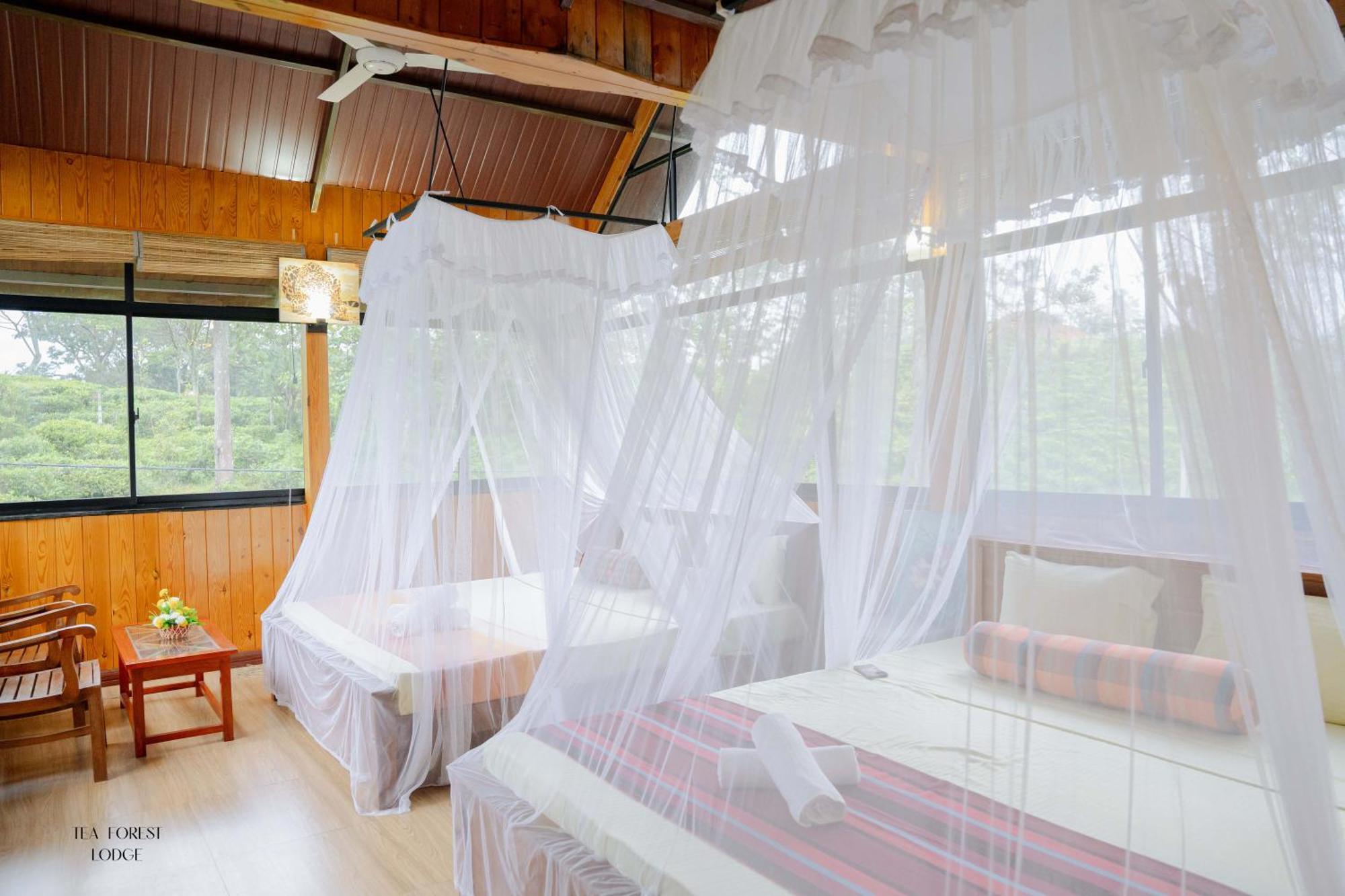 Tea Forest Lodge Ella Extérieur photo